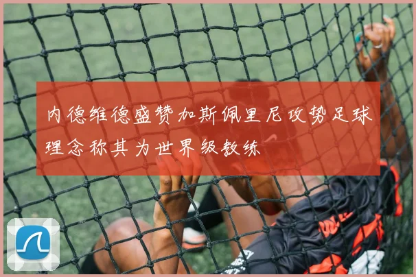 内德维德盛赞加斯佩里尼攻势足球理念称其为世界级教练
